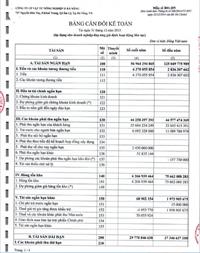 Báo cáo tài chính của Cty CP Vật tư nông nghiệp II Đà Nẵng trong 2 năm 2014 và 2015